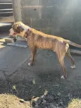 Não sabemos