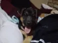 Kiara