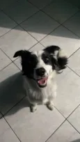 Kira 