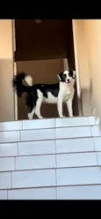 Kira 