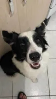 Kira 
