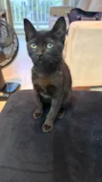 Frida