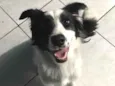 Kira 