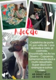 Lila