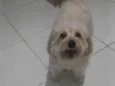 Kid