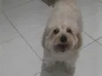 Kid