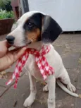 Bella