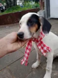 Bella