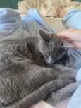 Zoe 