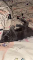 Zoe 