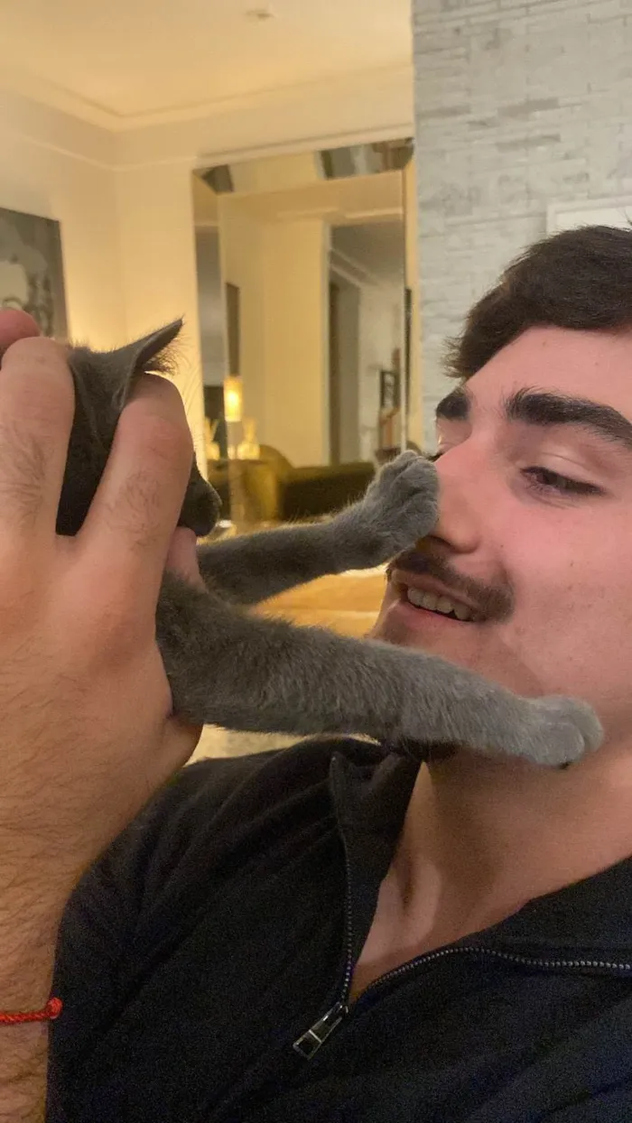 Gato ra a SRD-ViraLata idade 2 a 6 meses nome Zoe 