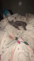 Zoe