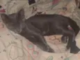 Zoe