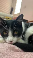 Malhadinho