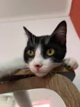 Malhadinho