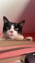 Malhadinho