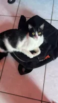 Malhadinho