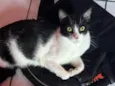 Malhadinho