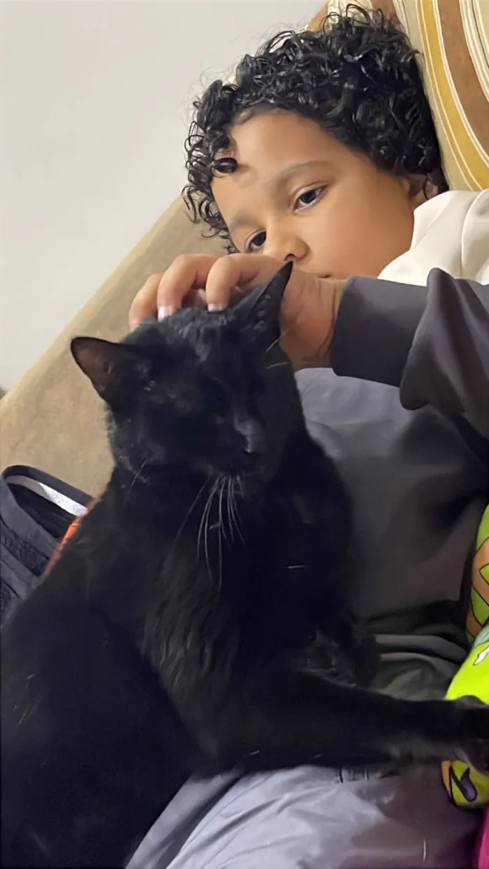Gato ra a SRD-ViraLata idade 2 anos nome Luna 