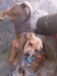 Julho