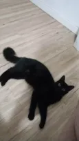 Mito