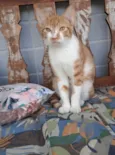 Hugo 