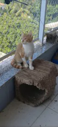 Hugo 