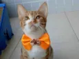Hugo 