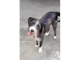 Zeca