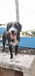 Zeca