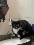 Zoe