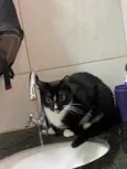 Zoe