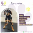 Granola