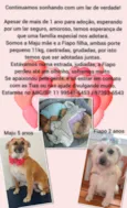 Maju e Fiapo