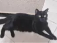 Lucius