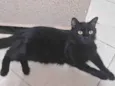 Lucius