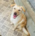 Feliz