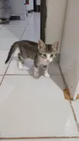 Penelope