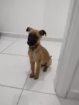 Skye