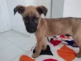 Skye