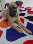Skye