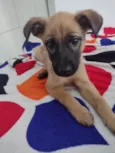 Skye