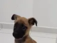 Skye