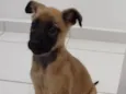 Skye