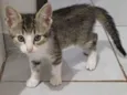 Penelope