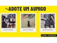 Não possuem nome