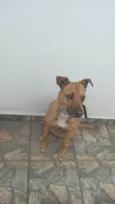 NEGUINHA 