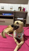 Princesa 