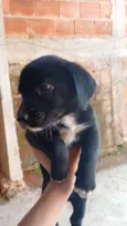 Ainda não tem