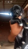 Ainda não tem